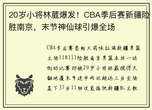 20岁小将林葳爆发！CBA季后赛新疆险胜南京，末节神仙球引爆全场