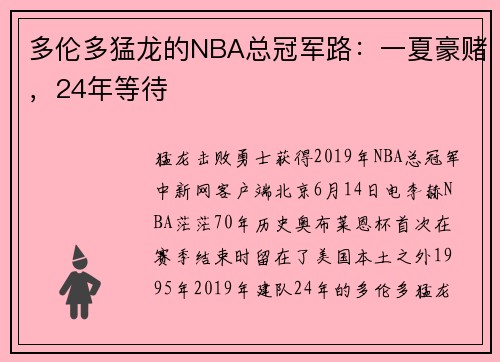 多伦多猛龙的NBA总冠军路：一夏豪赌，24年等待